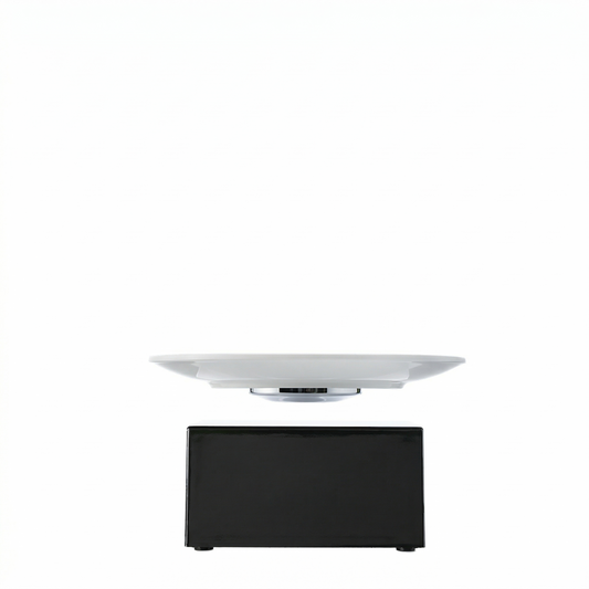 Leviou™ Plate – Levitating Dining Plate