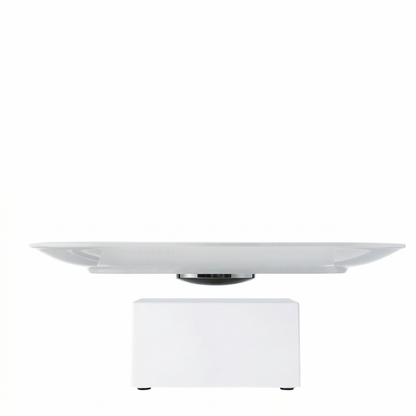 Leviou™ Plate – Levitating Dining Plate