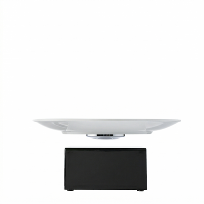 Leviou™ Plate – Levitating Dining Plate