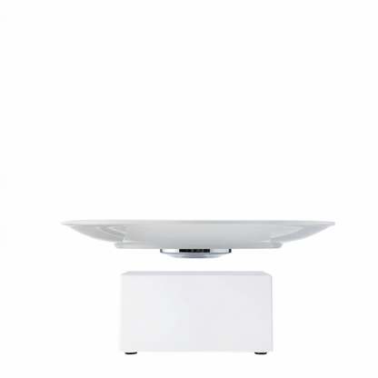 Leviou™ Plate – Levitating Dining Plate