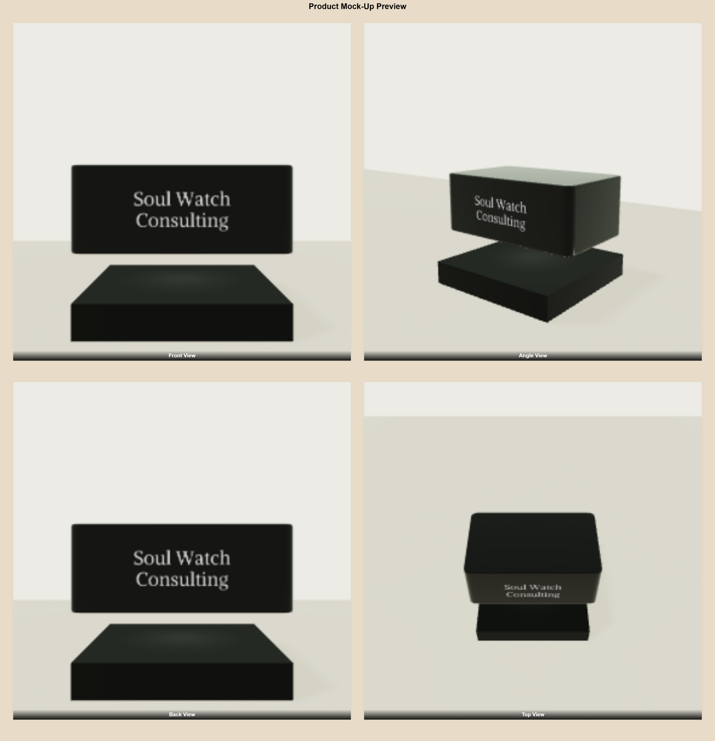 Leviou™ Custom Logo – Your Brand in Zero Gravity