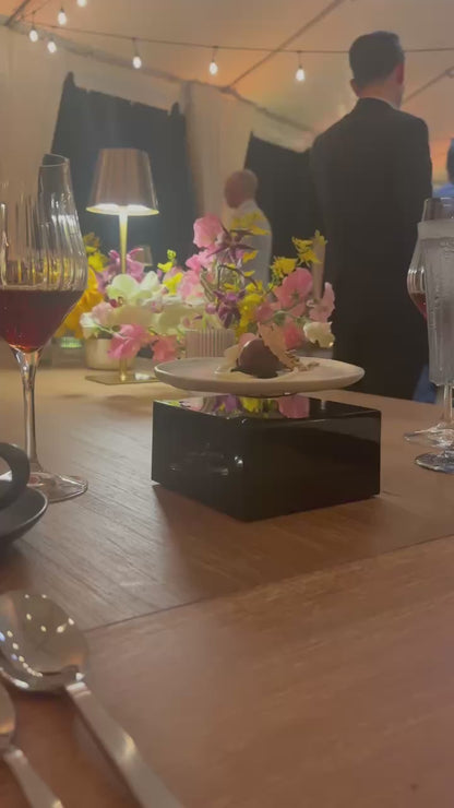 Leviou™ Plate – Levitating Dining Plate